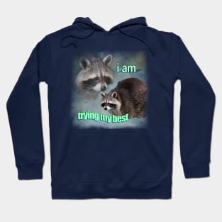 Trying Raccoon Meme Hoodie